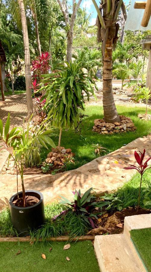 Green Paradise Leona Vicario Exterior photo