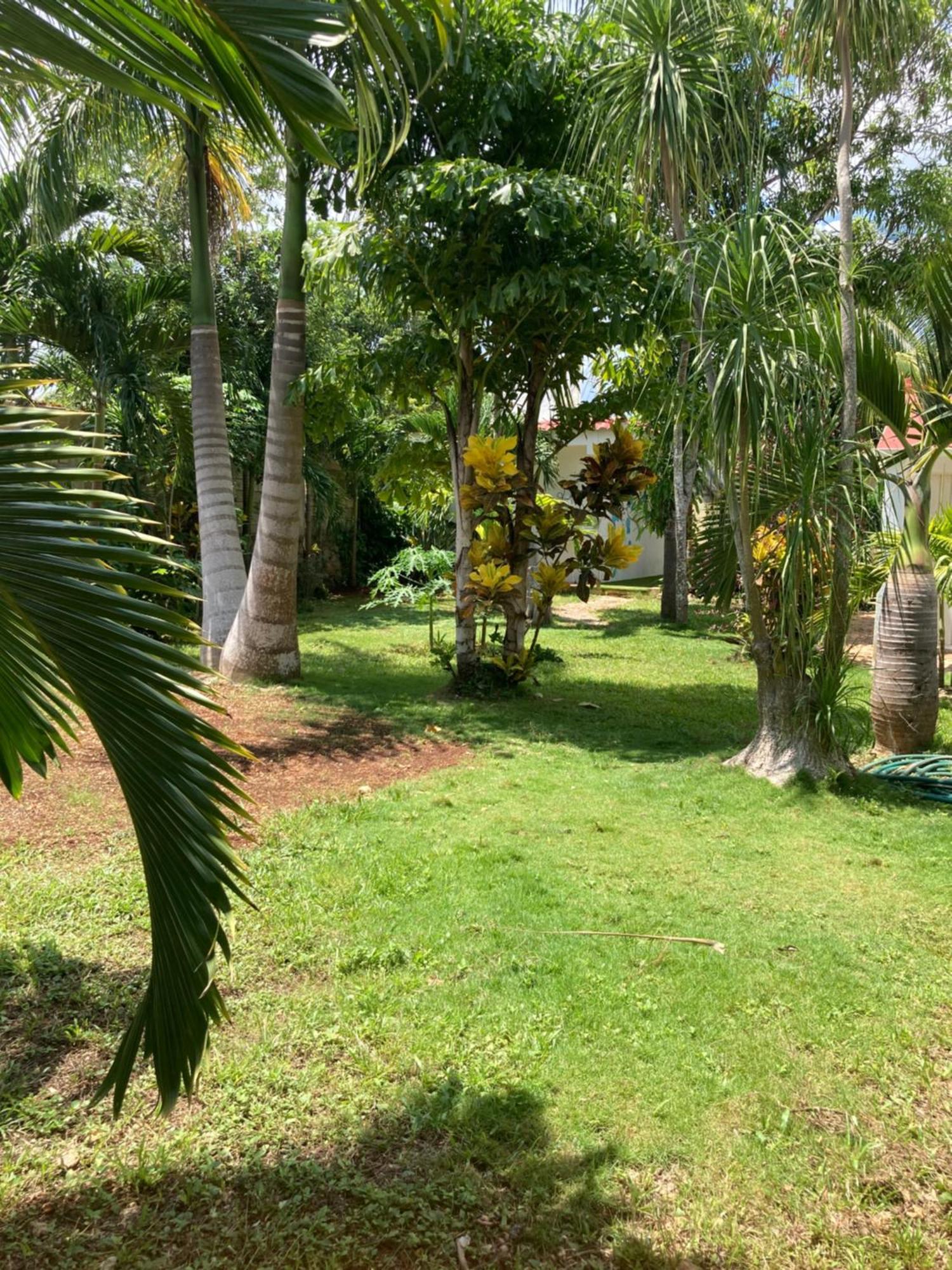 Green Paradise Leona Vicario Exterior photo