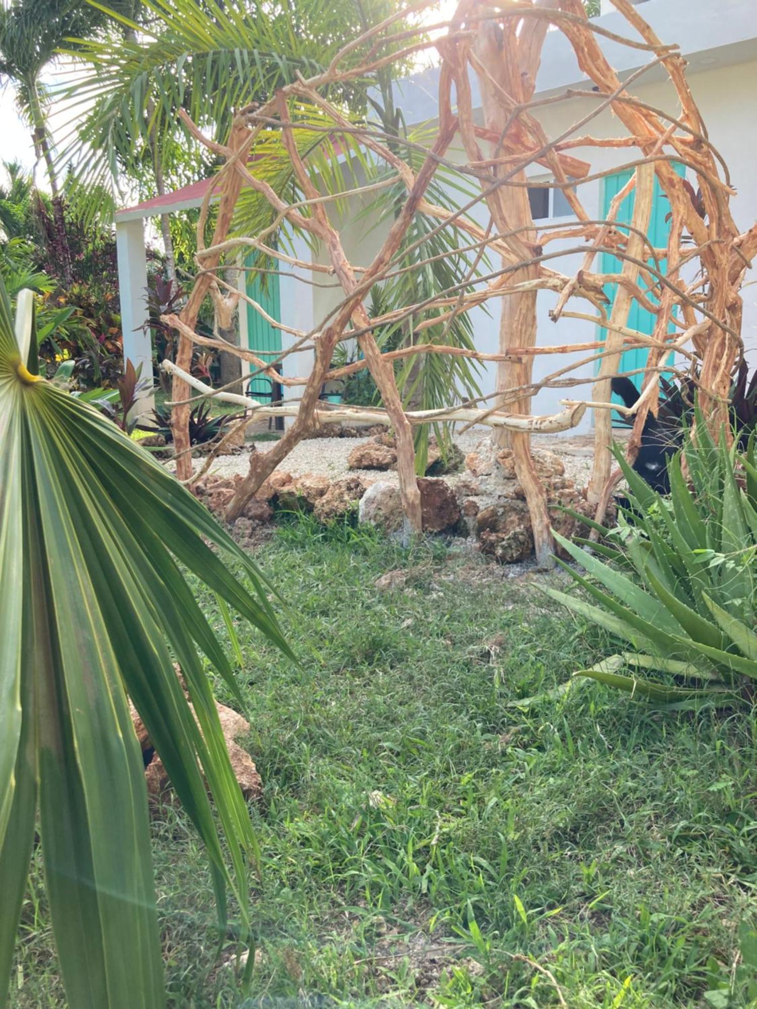 Green Paradise Leona Vicario Exterior photo