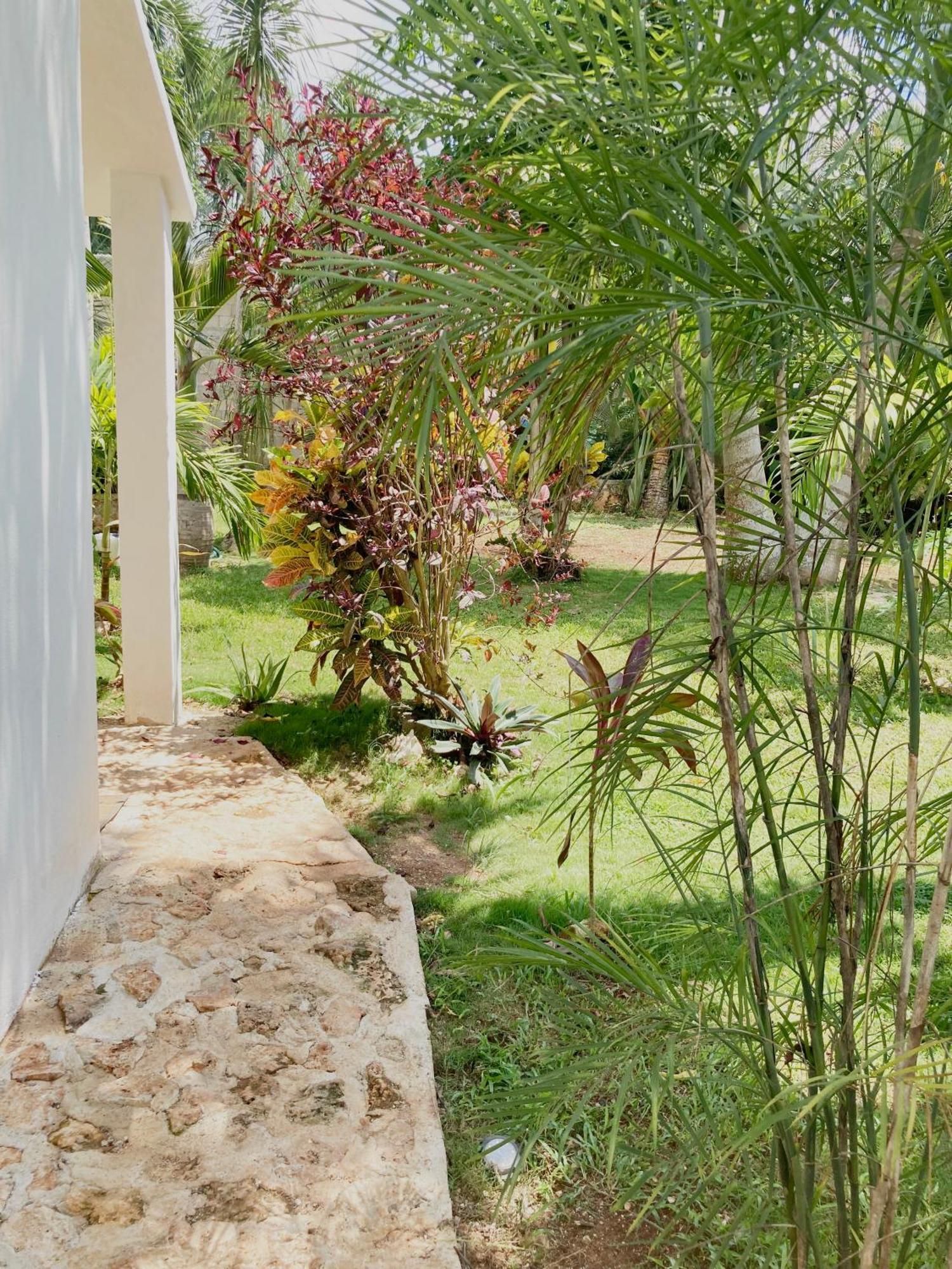 Green Paradise Leona Vicario Exterior photo