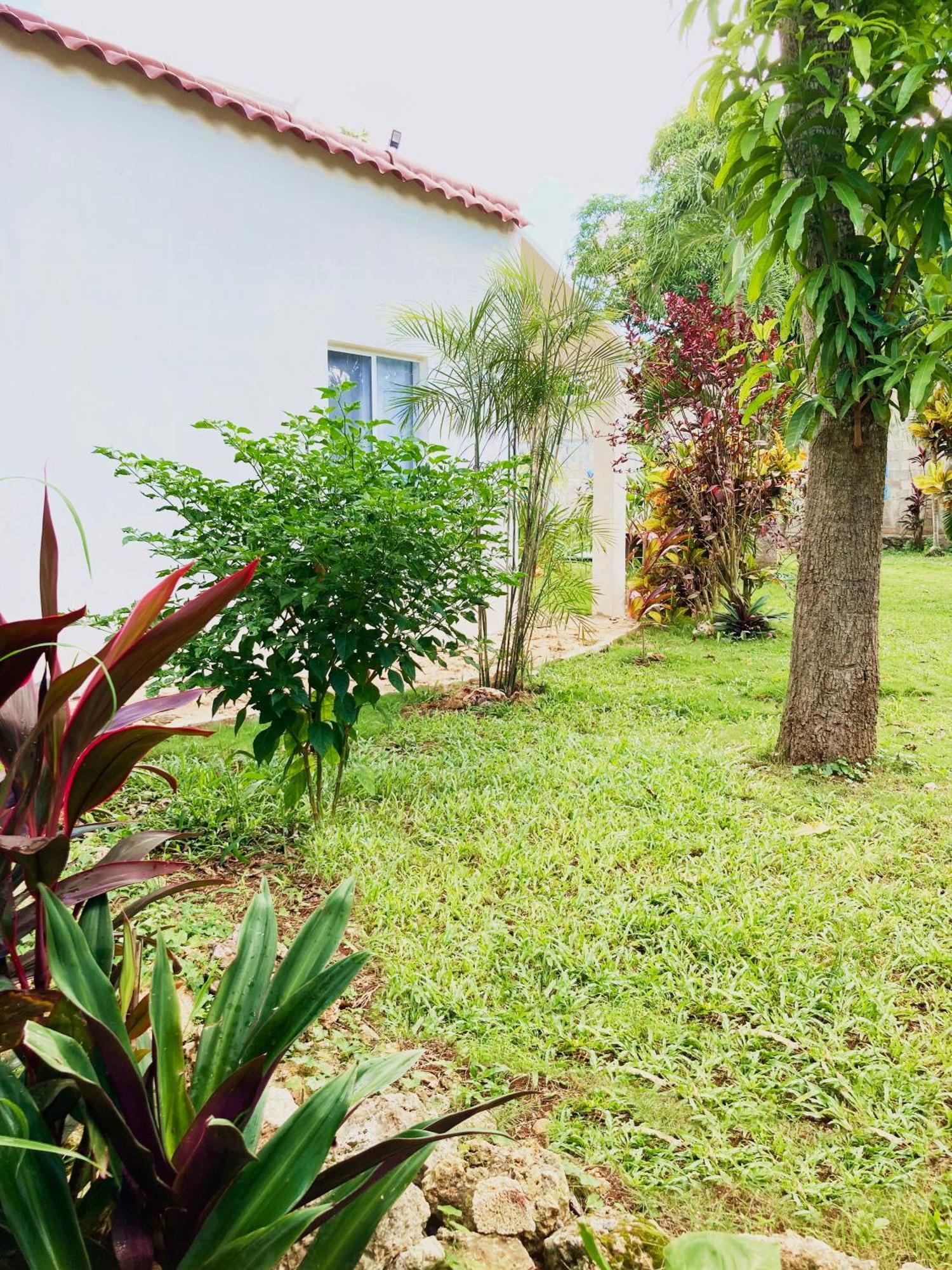 Green Paradise Leona Vicario Exterior photo