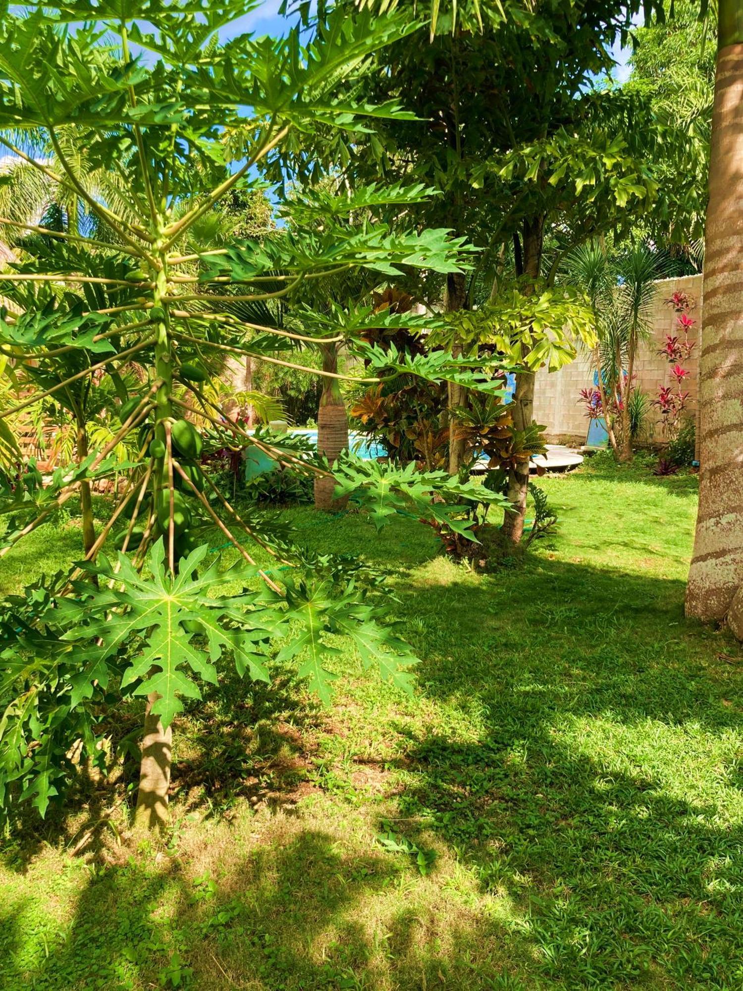 Green Paradise Leona Vicario Exterior photo