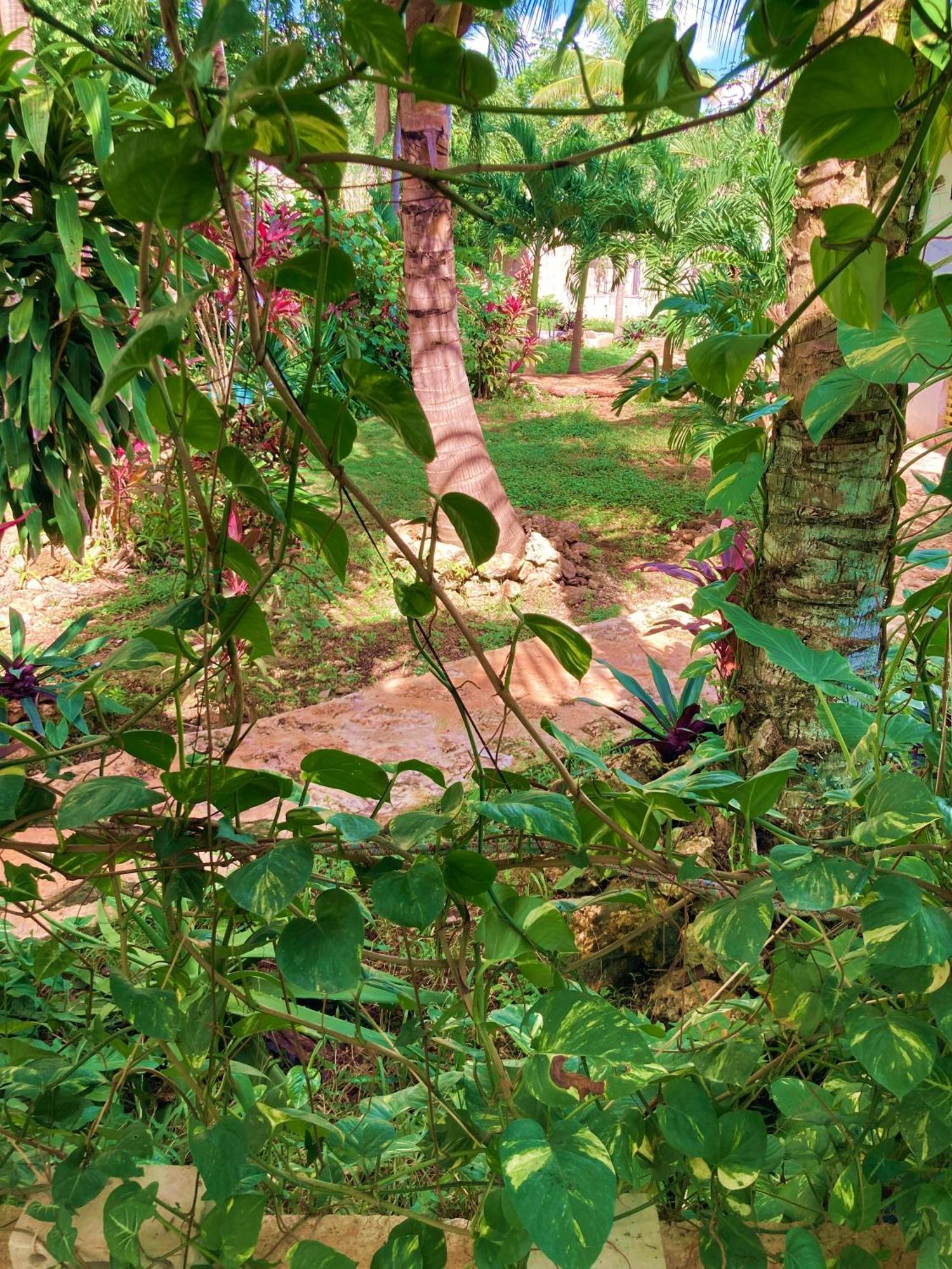 Green Paradise Leona Vicario Exterior photo