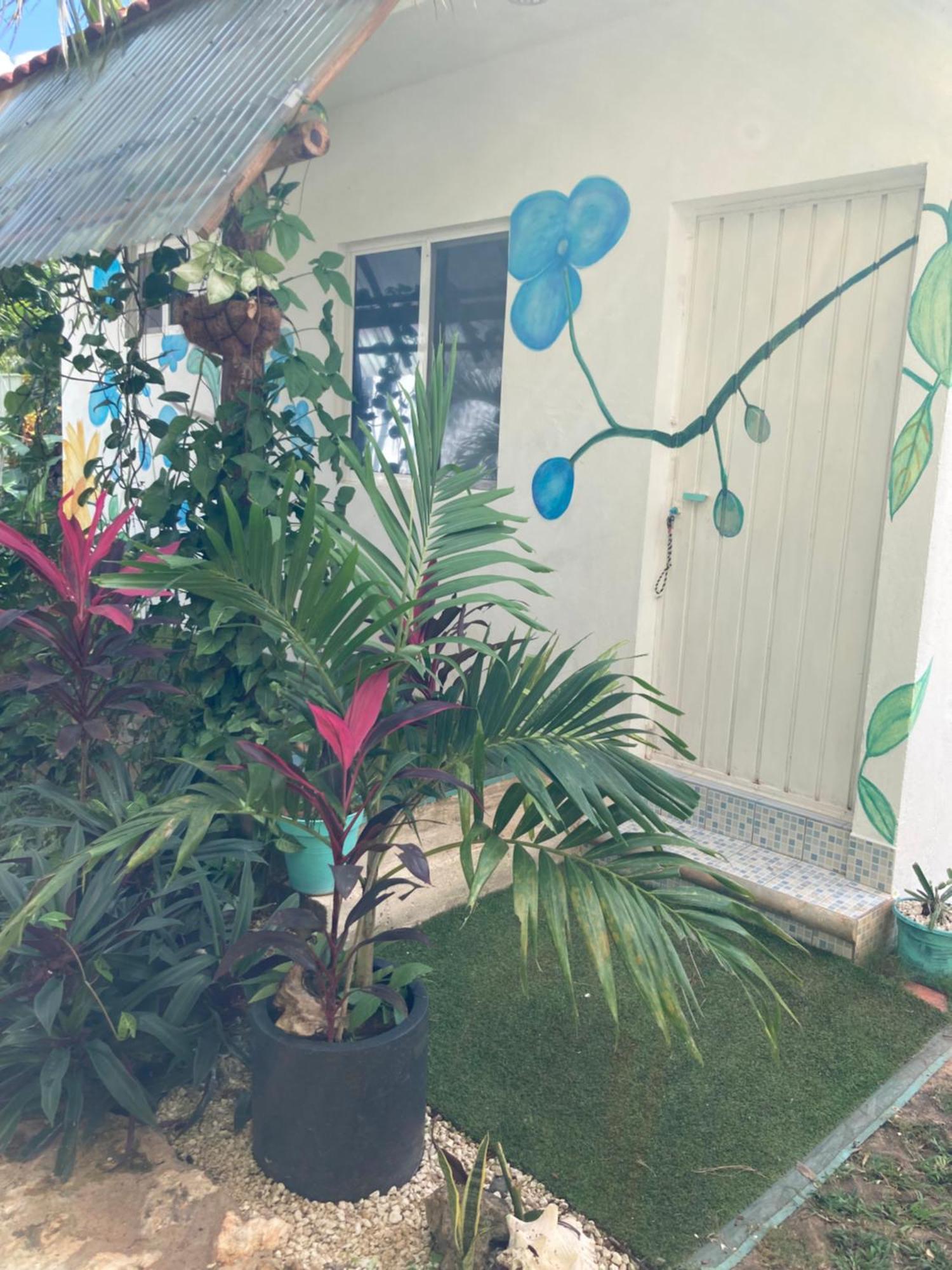 Green Paradise Leona Vicario Exterior photo