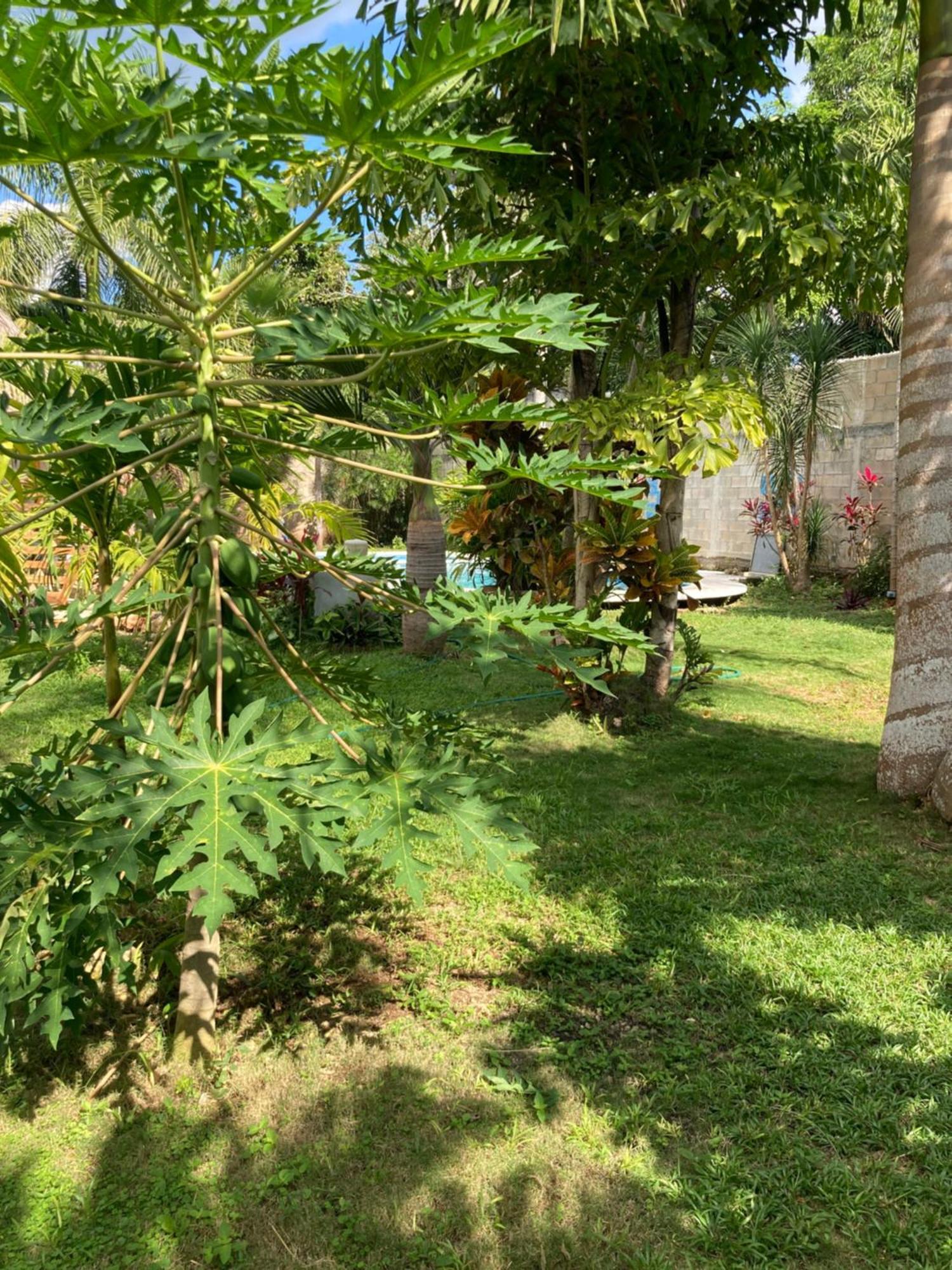 Green Paradise Leona Vicario Exterior photo