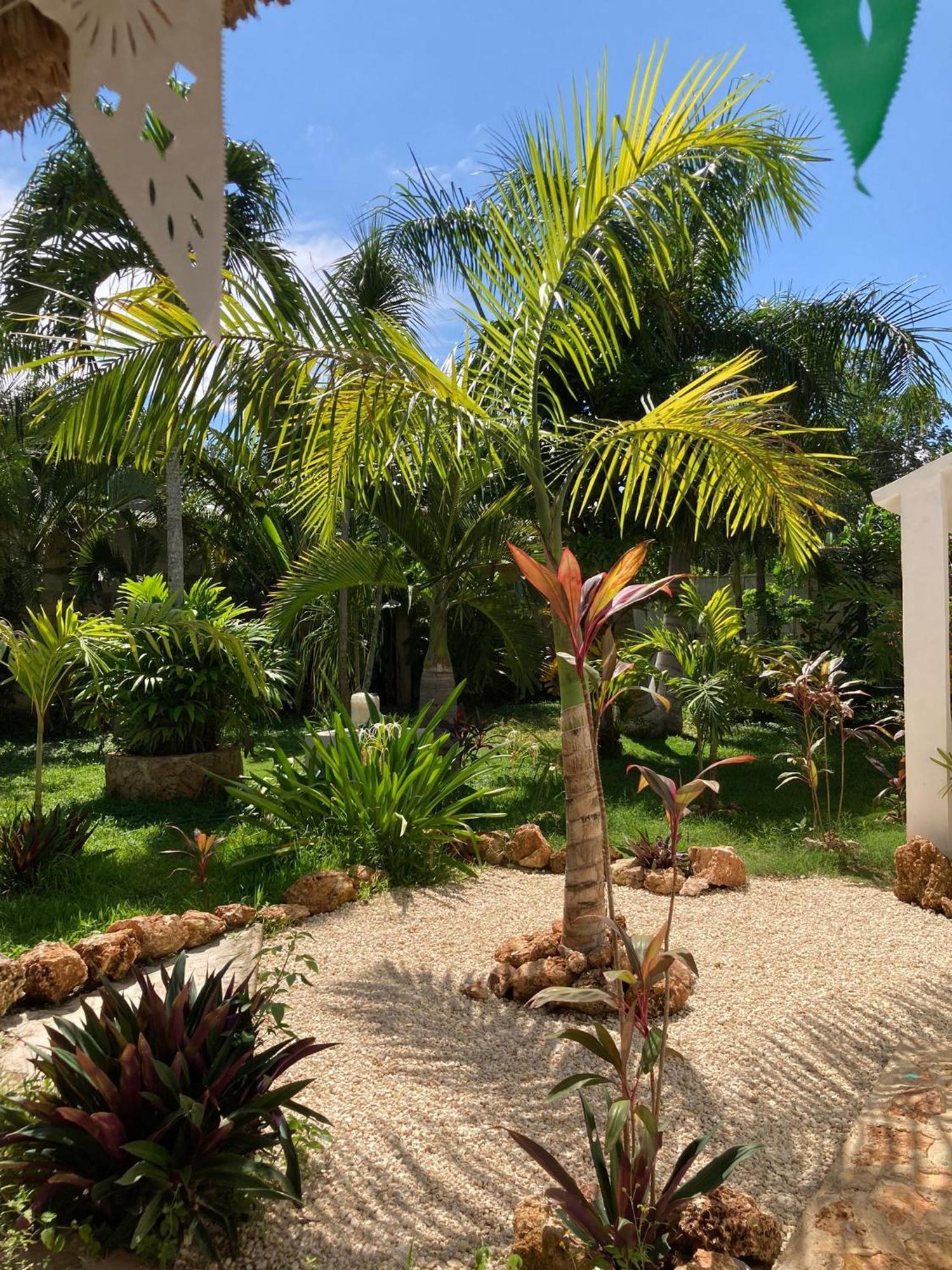 Green Paradise Leona Vicario Exterior photo