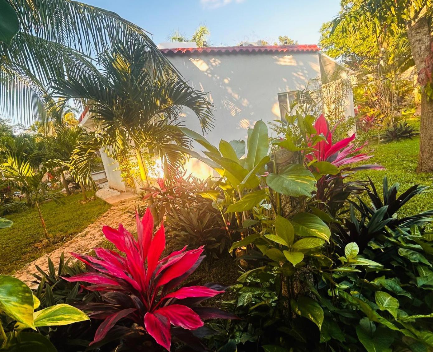 Green Paradise Leona Vicario Exterior photo