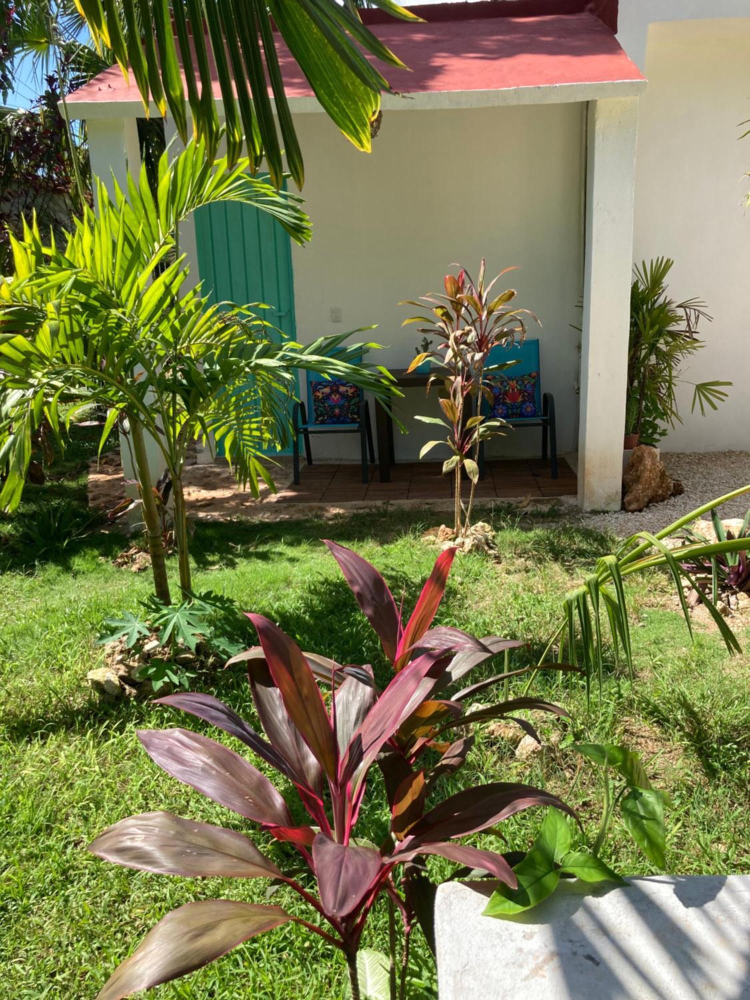 Green Paradise Leona Vicario Exterior photo